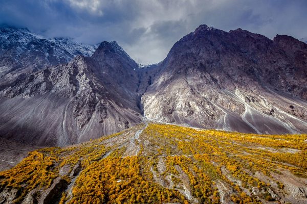 Chitral
