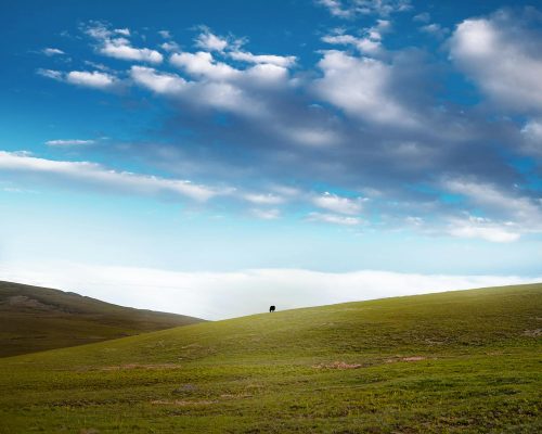 Skardu Deosai