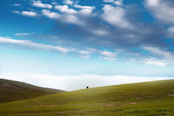 Skardu Deosai