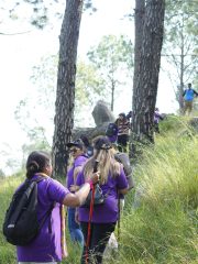 Trek(1)